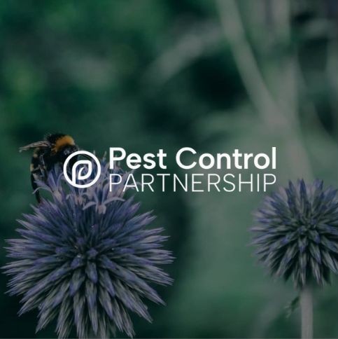 Pest Control Partnership faced a hiring challenge as it expanded into Europe, needing a Global Head of Post-Merger Integration and a French-speaking M&A Manager. Cedar quickly identified top talent through targeted market mapping, placing both critical roles within a week, ensuring continued growth and leadership alignment.